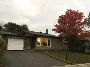 Private Rooms, Free Parking, Full Kitchen, Best Prices in Town- York University Heights